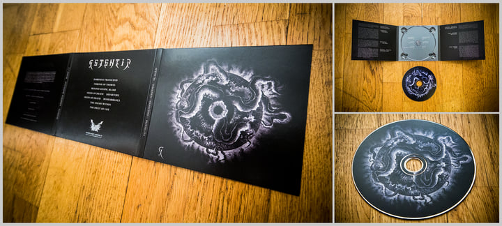 Darkness Transcend | Setentia | Blood Music