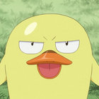 Platy thumbnail