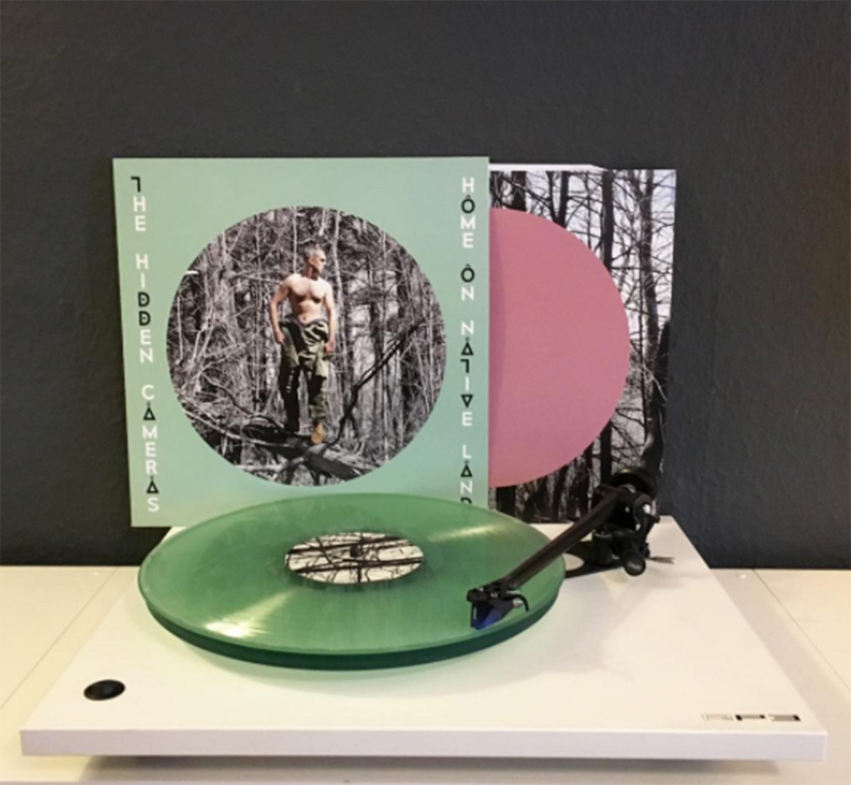 Home On Native Land The Hidden Cameras