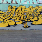 pushtree thumbnail