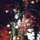 Easement thumbnail
