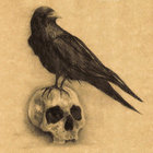 Peter Buckwell thumbnail