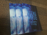 Being Worse: the poetry of it-clings (Book) photo 