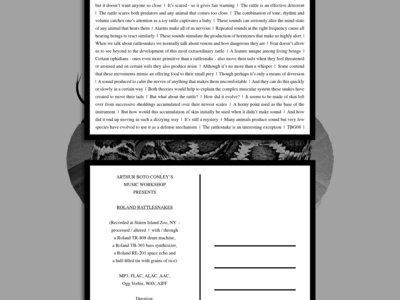 Arthur Boto Conley's Music Workshop Presents "Roland Rattlesnakes" | TBG08 - Postcard Extension (14,8 cm X 21,0 cm | 400 g/m²) main photo