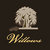 Bandcamp profile picture for @willows