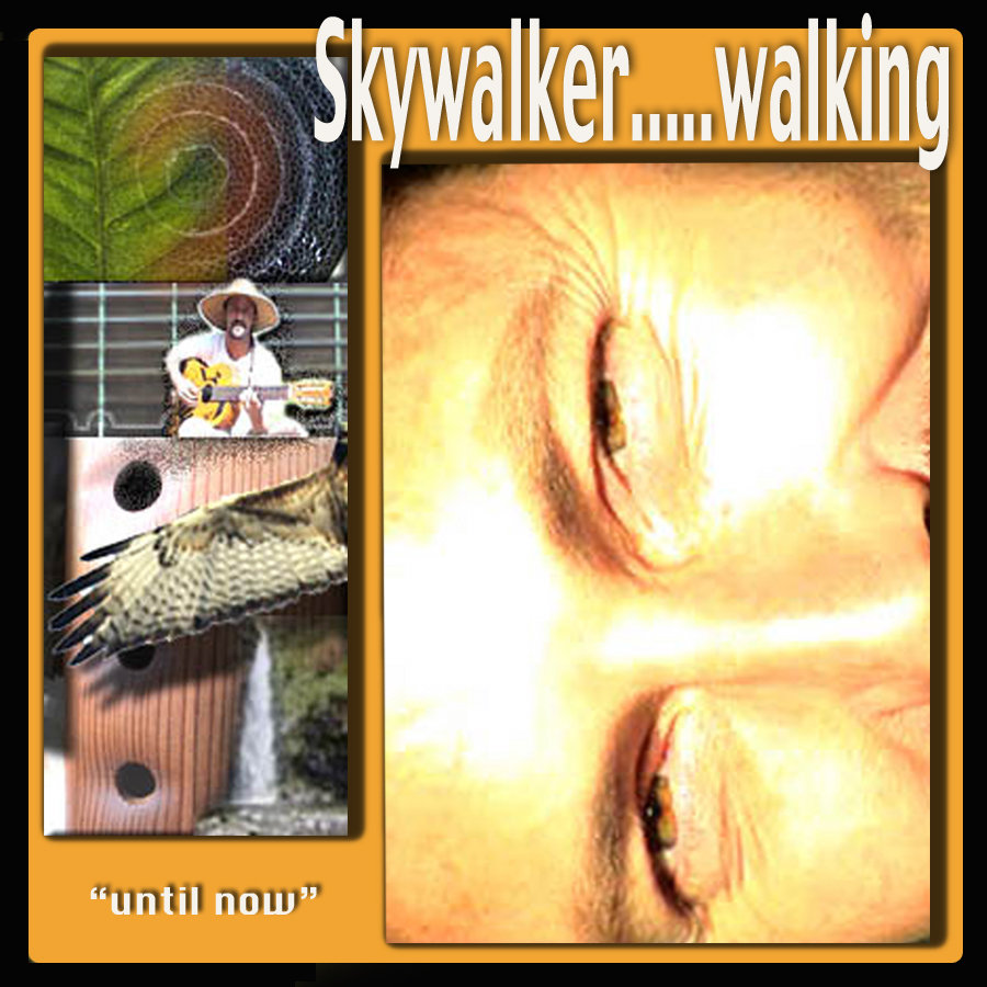 Spirit Kite Spirit Kite