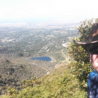 blouwildebees thumbnail