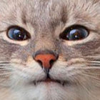 sinusoidal depleneration enjoyer thumbnail