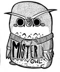 Mister Owl image