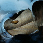 alapastel thumbnail