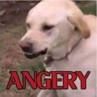 Andrew Berg thumbnail