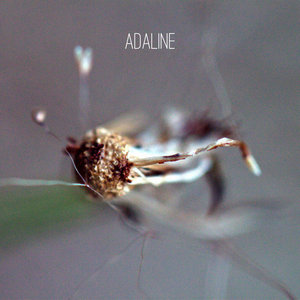 Adaline — Photo