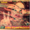 Golden Boy and the Insects image