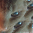 k43dg3 thumbnail