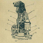 dogead thumbnail