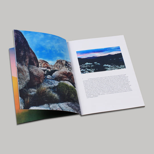 Bonobo Migration レコード Migration | Bonobo