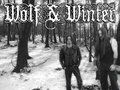 Wolf & Winter image