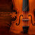 Bandcamp profile picture for @violin