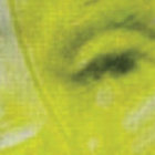 Nicolò Matteucci / nnls thumbnail