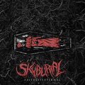 SKYBURIAL image