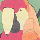 Birdboy thumbnail
