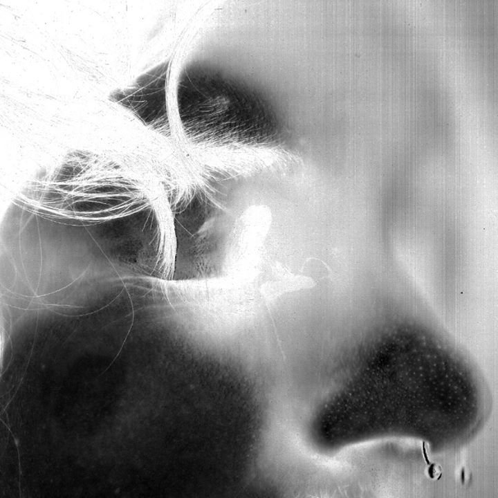 Sex Food Unknown Mortal Orchestra Listen to everyone acts crazy nowadays on spotify. sex food unknown mortal orchestra