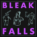 Bleak Falls image