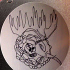 trtl panda thumbnail