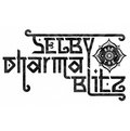 Selby & The Dharma Blitz image