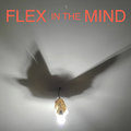 Flex in the Mind image