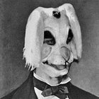 Eat Rabbit thumbnail