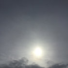 bcdbw thumbnail