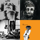 Pretty Ugly | Peter Scherer & Arto Lindsay | Crammed Discs