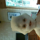 Sean Dixon thumbnail