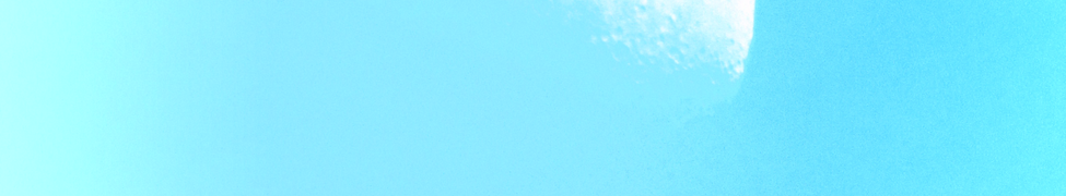 White Moon — Photo