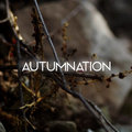 Autumnation image