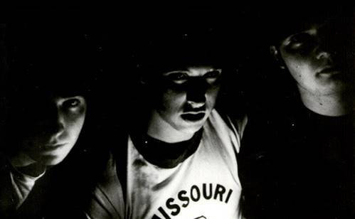 米LP The Revelators We Told You Not To Cross Us... CRYPT073 Crypt Records /00260 REVELATORS 
