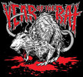 Year of the Rat image