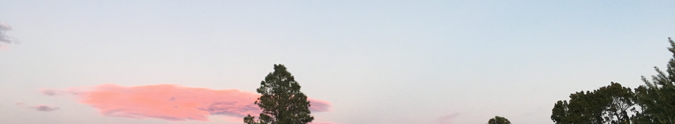 Cohen — Photo