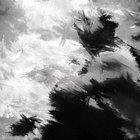 diego adamski thumbnail