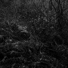Andrew Thompson thumbnail