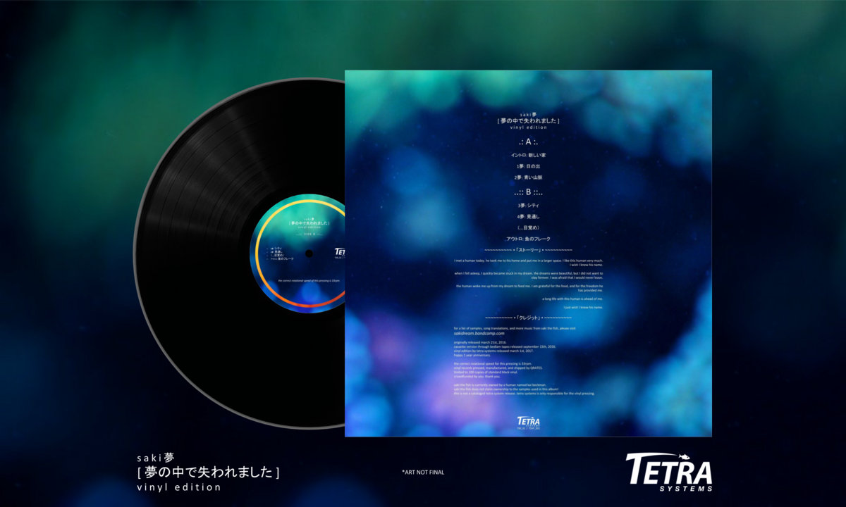 イントロ 新しい家 S A K I 夢 Tetra Systems イントロ 新しい家 S A K I 夢 Tetra Systems