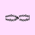 Webcam Model image