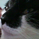 denise15 thumbnail