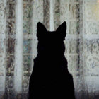 filoctetes thumbnail