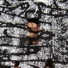 Peter Hecht thumbnail
