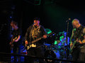 Dogtown Rebels photo