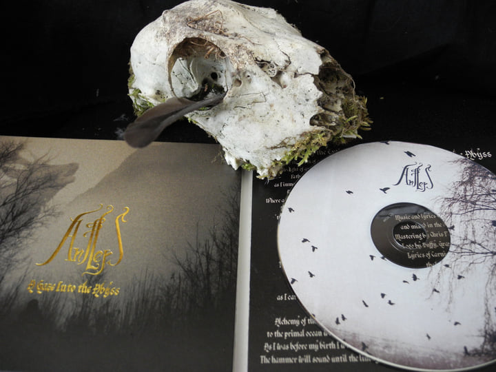 a gaze into the abyss | ANTLERS | Vendetta Records