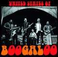 United States of Boogaloo image