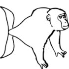 Monkeyfish thumbnail
